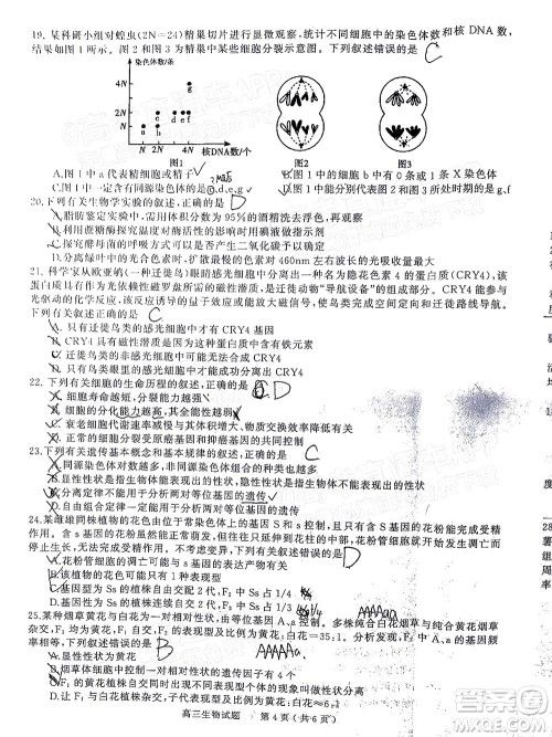 信阳2021-2022学年普通高中高三第一次教学质量检测生物试题及答案