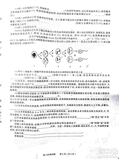 信阳2021-2022学年普通高中高三第一次教学质量检测生物试题及答案