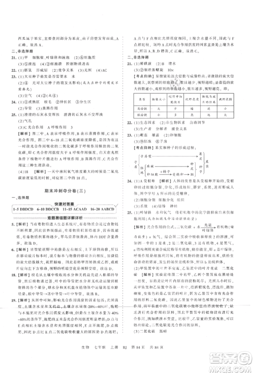 江西人民出版社2021王朝霞考点梳理时习卷七年级上册生物人教版参考答案