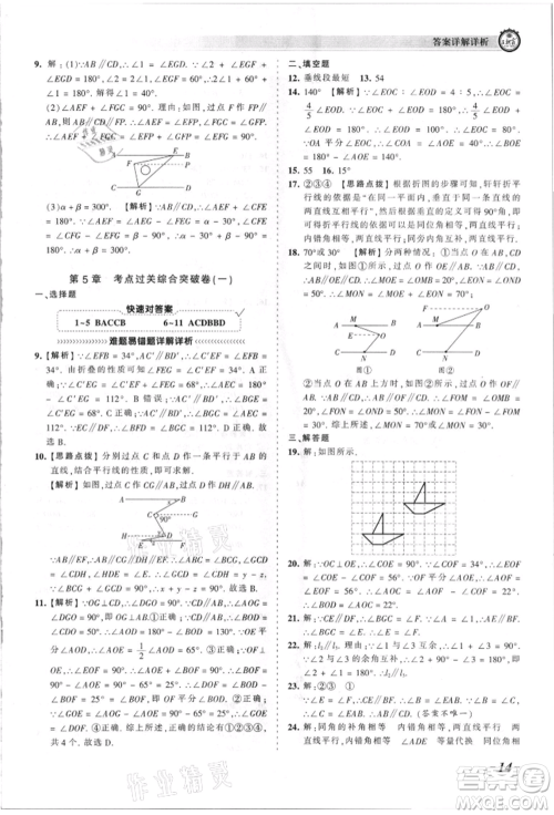 江西人民出版社2021王朝霞考点梳理时习卷七年级上册数学华师大版参考答案