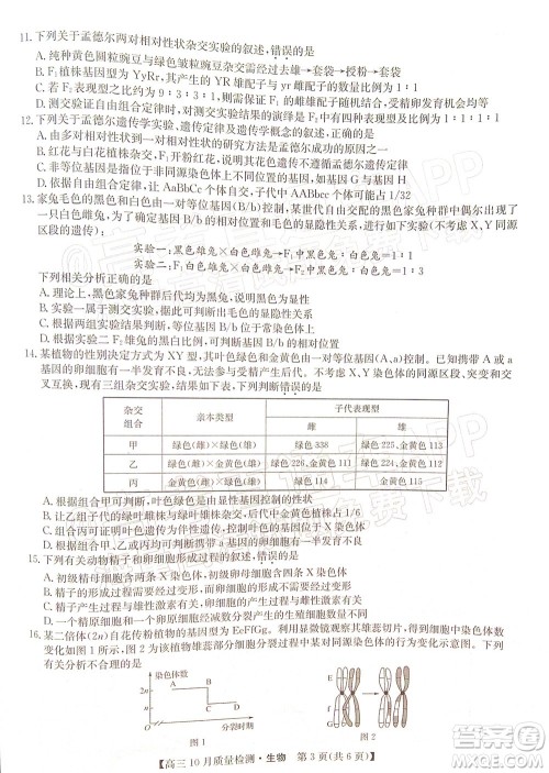 2022届九师联盟高三10月质量检测生物试题及答案