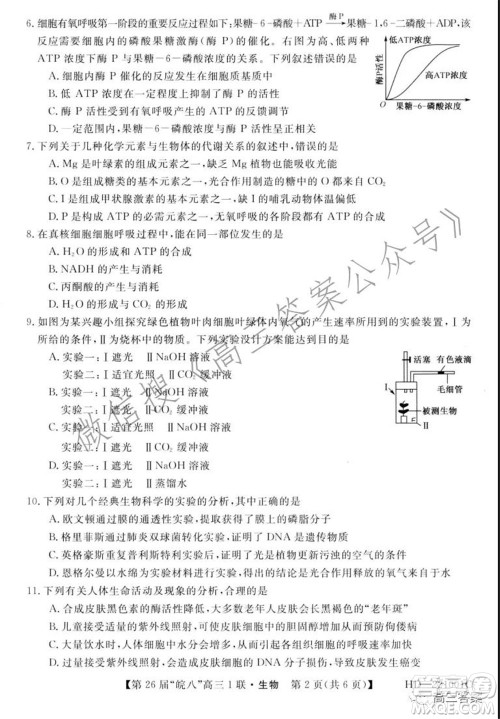 皖南八校2022届高三第一次联考生物试题及答案 皖南八校2022届高三第一次联考生物试题及答案