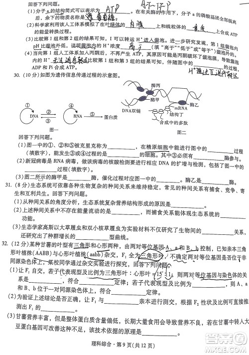 明市第一中学2022届高中新课标高三第三次双基检测理科综合试卷答案