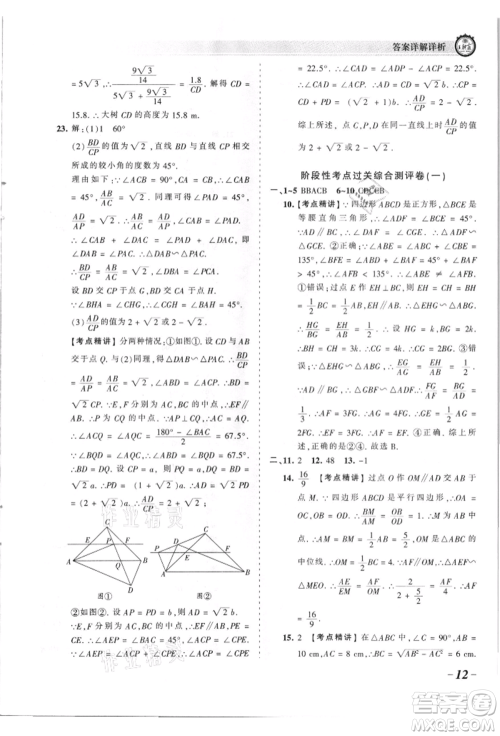 江西人民出版社2021王朝霞考点梳理时习卷九年级数学华师大版参考答案