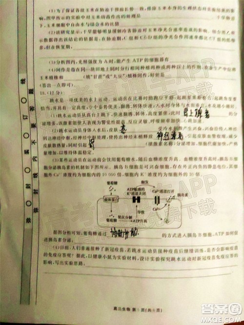 茂名市五校联盟2022届高三第一次联考试题生物试题及答案 茂名市五校联盟2022届高三第一次联考试题生物试题及答案