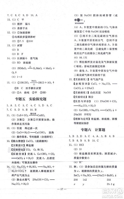 人民教育出版社2021同步轻松练习九年级化学总复习人教版答案 人民教育出版社2021同步轻松练习九年级化学总复习人教版答案