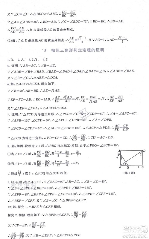 北京师范大学出版社2021新课标同步单元练习九年级数学上册北师大版深圳专版答案