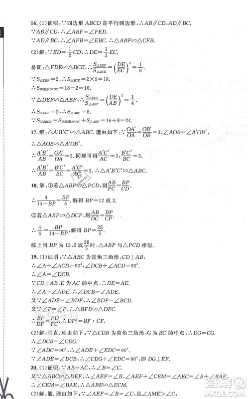 北京师范大学出版社2021新课标同步单元练习九年级数学上册北师大版深圳专版答案