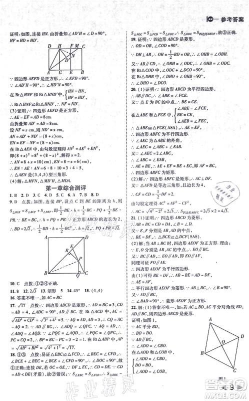 北方妇女儿童出版社2021胜券在握打好基础作业本九年级数学上册BS北师大版答案 北方妇女儿童出版社2021胜券在握打好基础作业本九年级数学上册BS北师大版答案