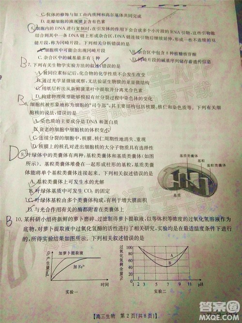 2022届内蒙古金太阳高三10月联考生物试题及答案