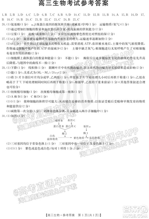 2022届内蒙古金太阳高三10月联考生物试题及答案