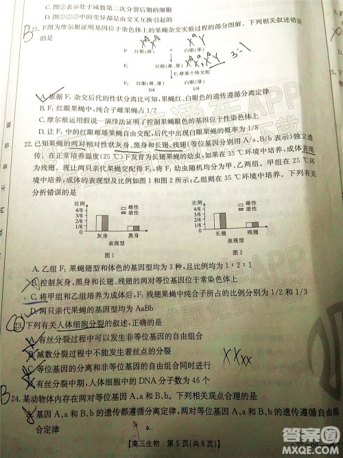 2022届内蒙古金太阳高三10月联考生物试题及答案