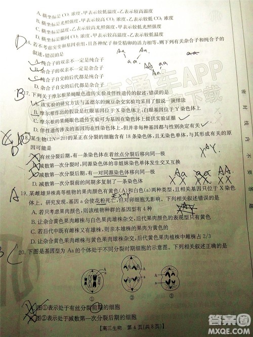 2022届内蒙古金太阳高三10月联考生物试题及答案