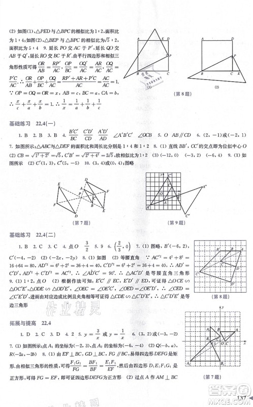 上海科学技术出版社2021初中数学同步练习九年级上册沪科版答案