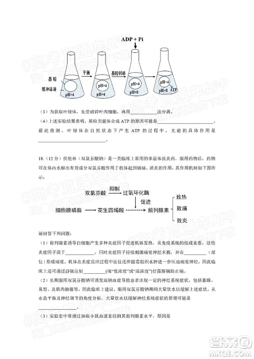 深圳2022届六校第二次联考试题生物试题及答案