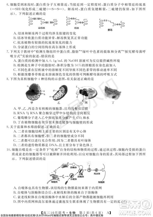 河南省名校联盟2021-2022学年高三上学期10月联考生物试题及答案