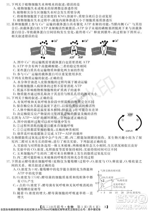 河南省名校联盟2021-2022学年高三上学期10月联考生物试题及答案