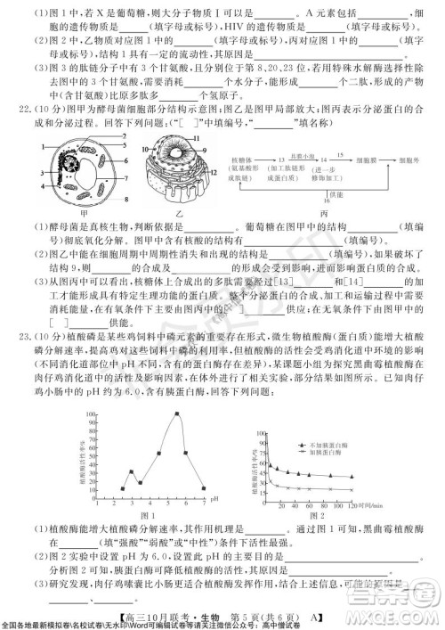 河南省名校联盟2021-2022学年高三上学期10月联考生物试题及答案 河南省名校联盟2021-2022学年高三上学期10月联考生物试题及答案