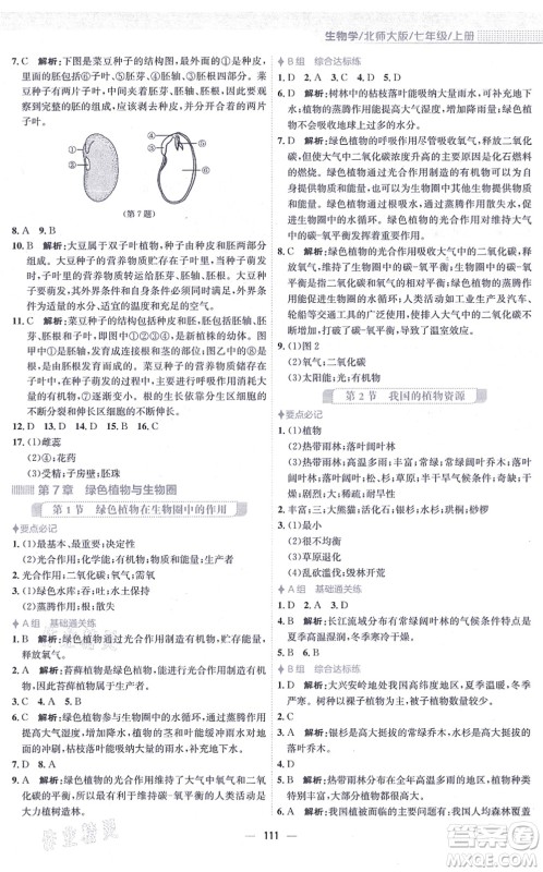 安徽教育出版社2021新编基础训练七年级生物上册北师大版答案