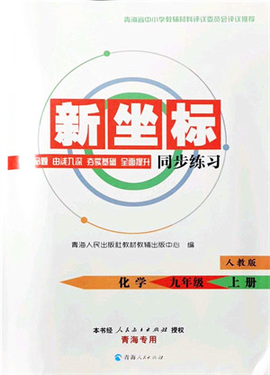 青海人民出版社2021新坐标同步练习九年级化学上册人教版青海专用答案