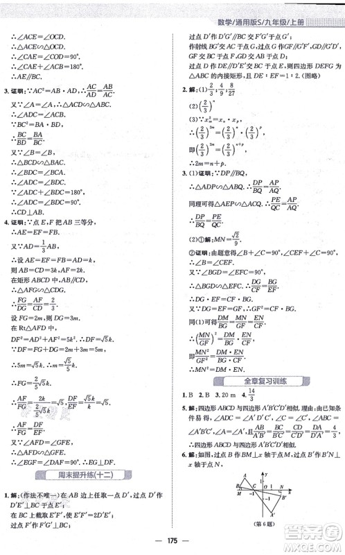 安徽教育出版社2021新编基础训练九年级数学上册通用版S答案