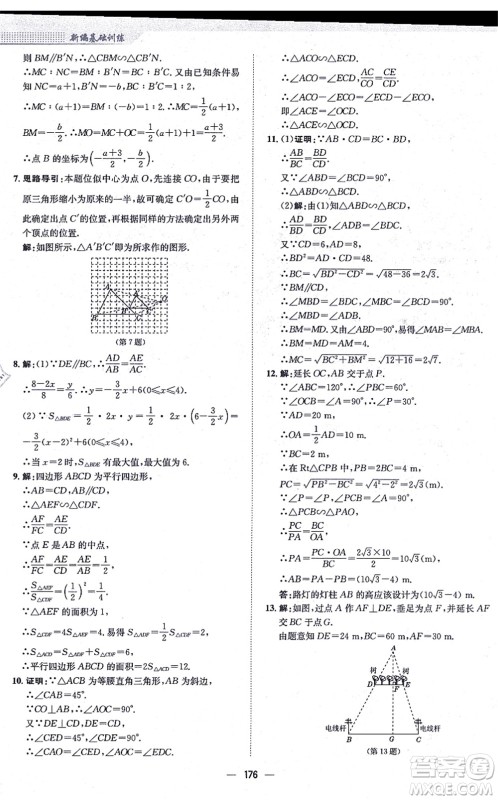 安徽教育出版社2021新编基础训练九年级数学上册通用版S答案