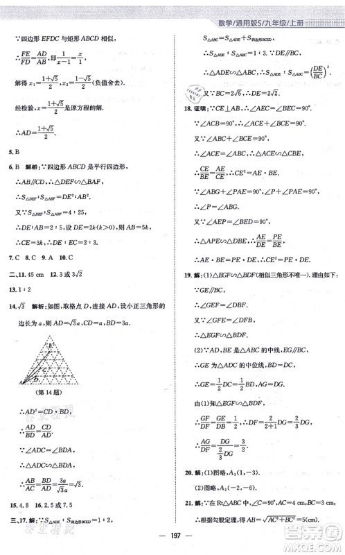 安徽教育出版社2021新编基础训练九年级数学上册通用版S答案