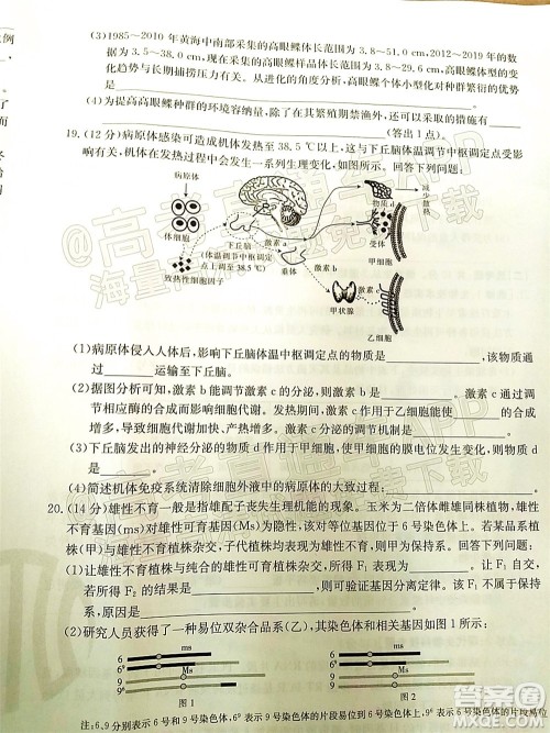 湛江市2022届高中毕业班调研测试生物试题及答案 湛江市2022届高中毕业班调研测试生物试题及答案
