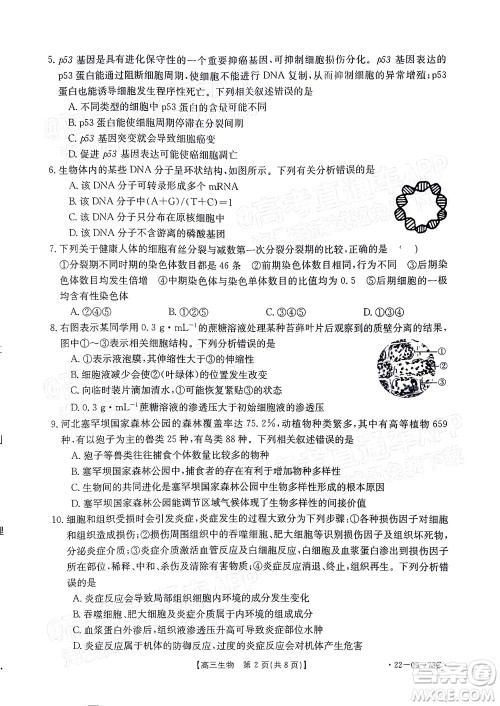 2022届广东金太阳高三10月联考生物试题及答案