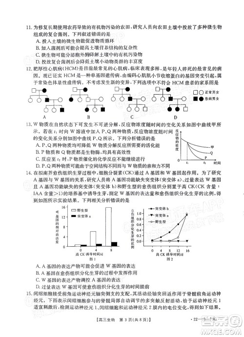 2022届广东金太阳高三10月联考生物试题及答案