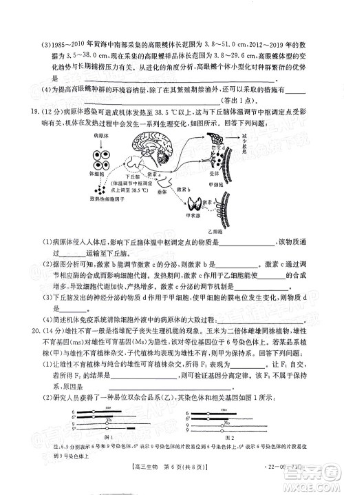 2022届广东金太阳高三10月联考生物试题及答案