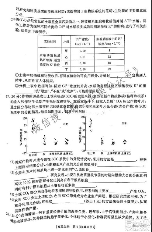 2021-2022年度河南省高三阶段性检测四生物试题及答案