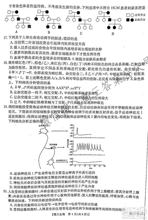 2021-2022年度河南省高三阶段性检测四生物试题及答案