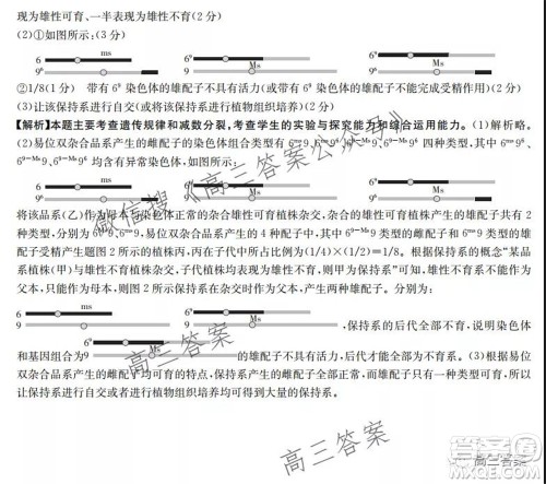 2021-2022年度河南省高三阶段性检测四生物试题及答案 2021-2022年度河南省高三阶段性检测四生物试题及答案