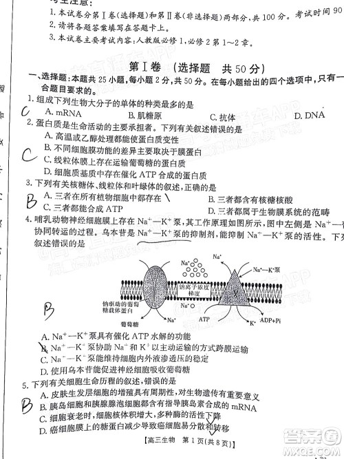 2022届江西金太阳高三10月联考生物试卷及答案 2022届江西金太阳高三10月联考生物试卷及答案