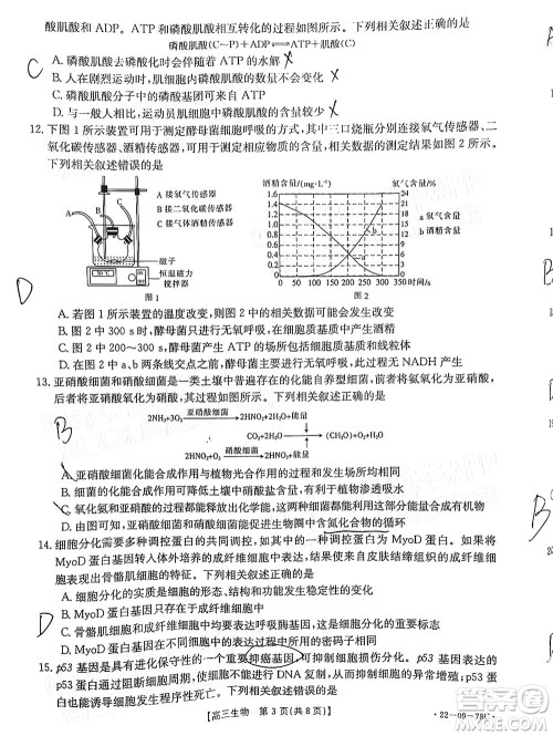 2022届江西金太阳高三10月联考生物试卷及答案