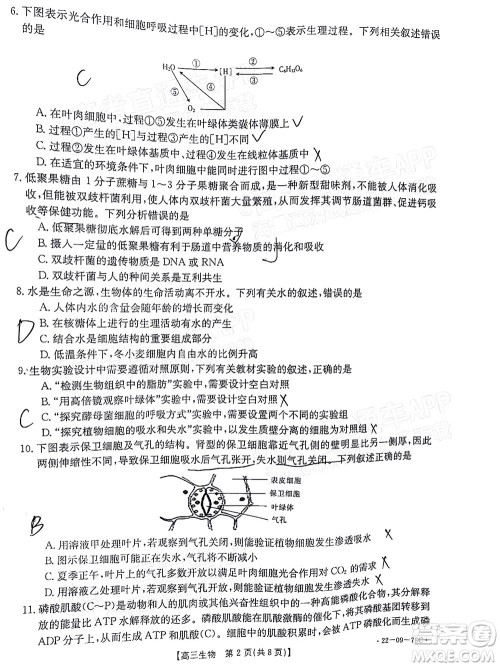 2022届江西金太阳高三10月联考生物试卷及答案