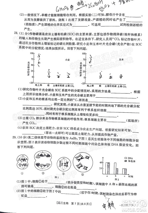 2022届江西金太阳高三10月联考生物试卷及答案 2022届江西金太阳高三10月联考生物试卷及答案