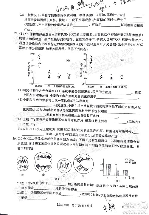 2022届江西金太阳高三10月联考生物试卷及答案