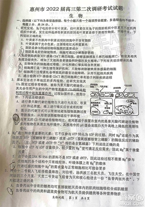 惠州市2022届高三第二次调研考试生物试题及答案