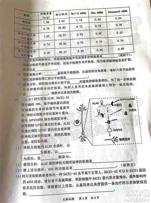 惠州市2022届高三第二次调研考试生物试题及答案