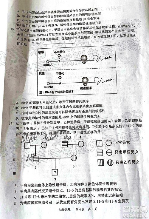 惠州市2022届高三第二次调研考试生物试题及答案