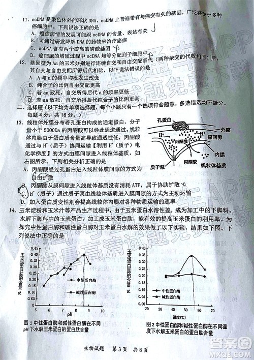 惠州市2022届高三第二次调研考试生物试题及答案