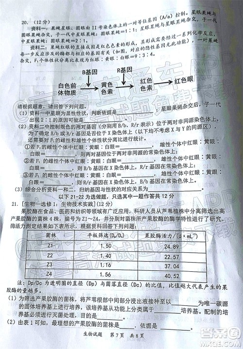 惠州市2022届高三第二次调研考试生物试题及答案