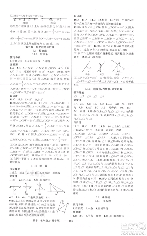 新疆青少年出版社2021四清导航七年级上册数学华师大版参考答案