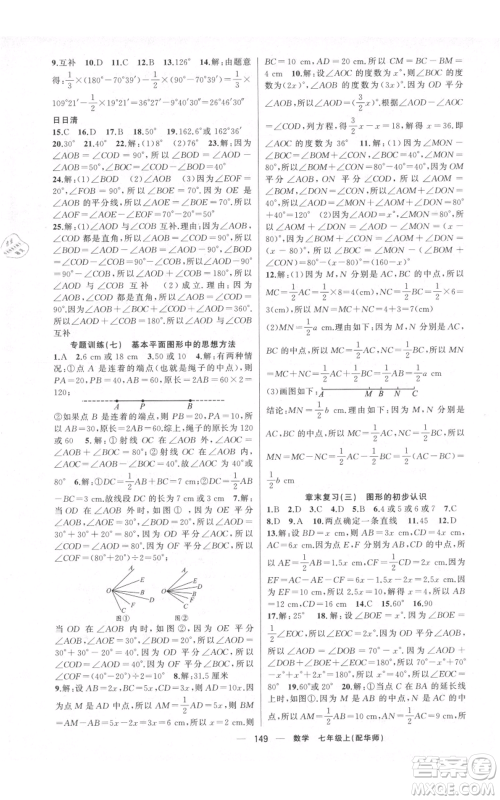 新疆青少年出版社2021四清导航七年级上册数学华师大版参考答案