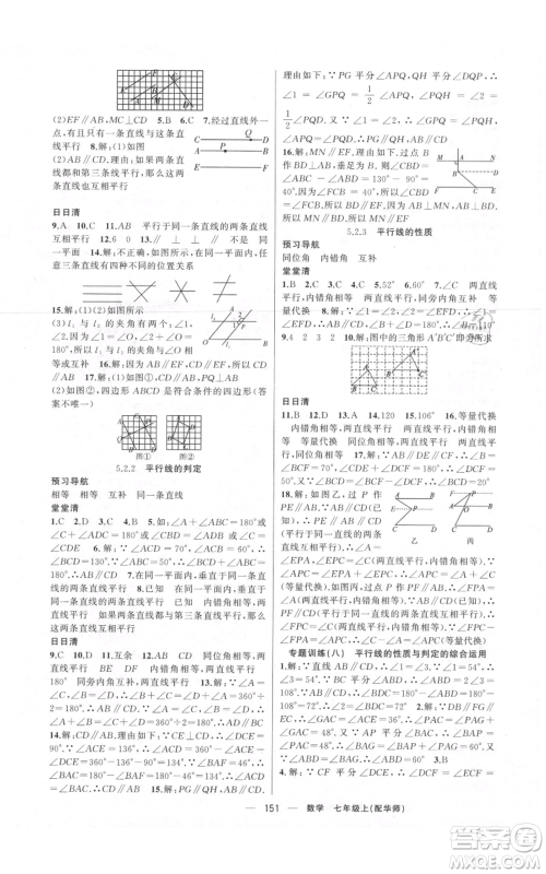 新疆青少年出版社2021四清导航七年级上册数学华师大版参考答案