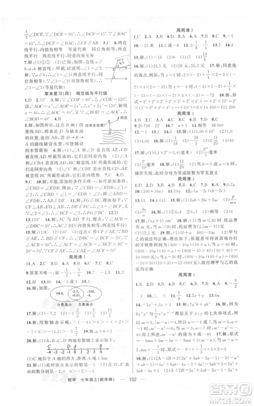 新疆青少年出版社2021四清导航七年级上册数学华师大版参考答案