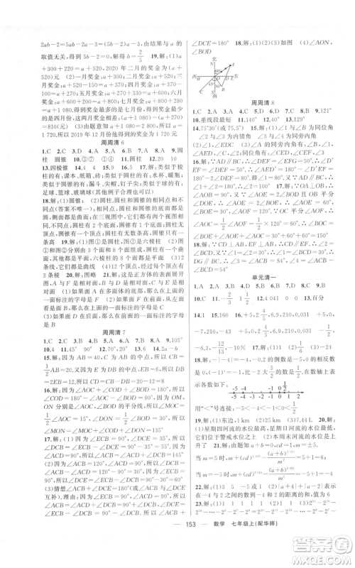 新疆青少年出版社2021四清导航七年级上册数学华师大版参考答案