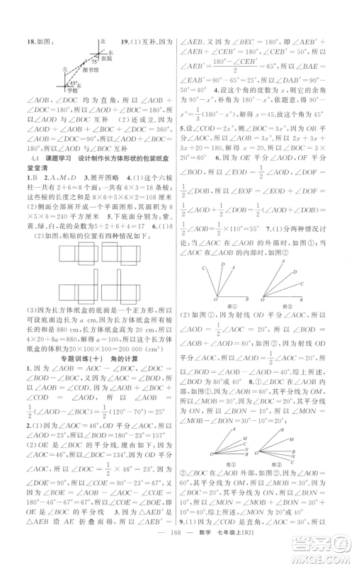 新疆青少年出版社2021四清导航七年级上册数学人教版河南专版参考答案